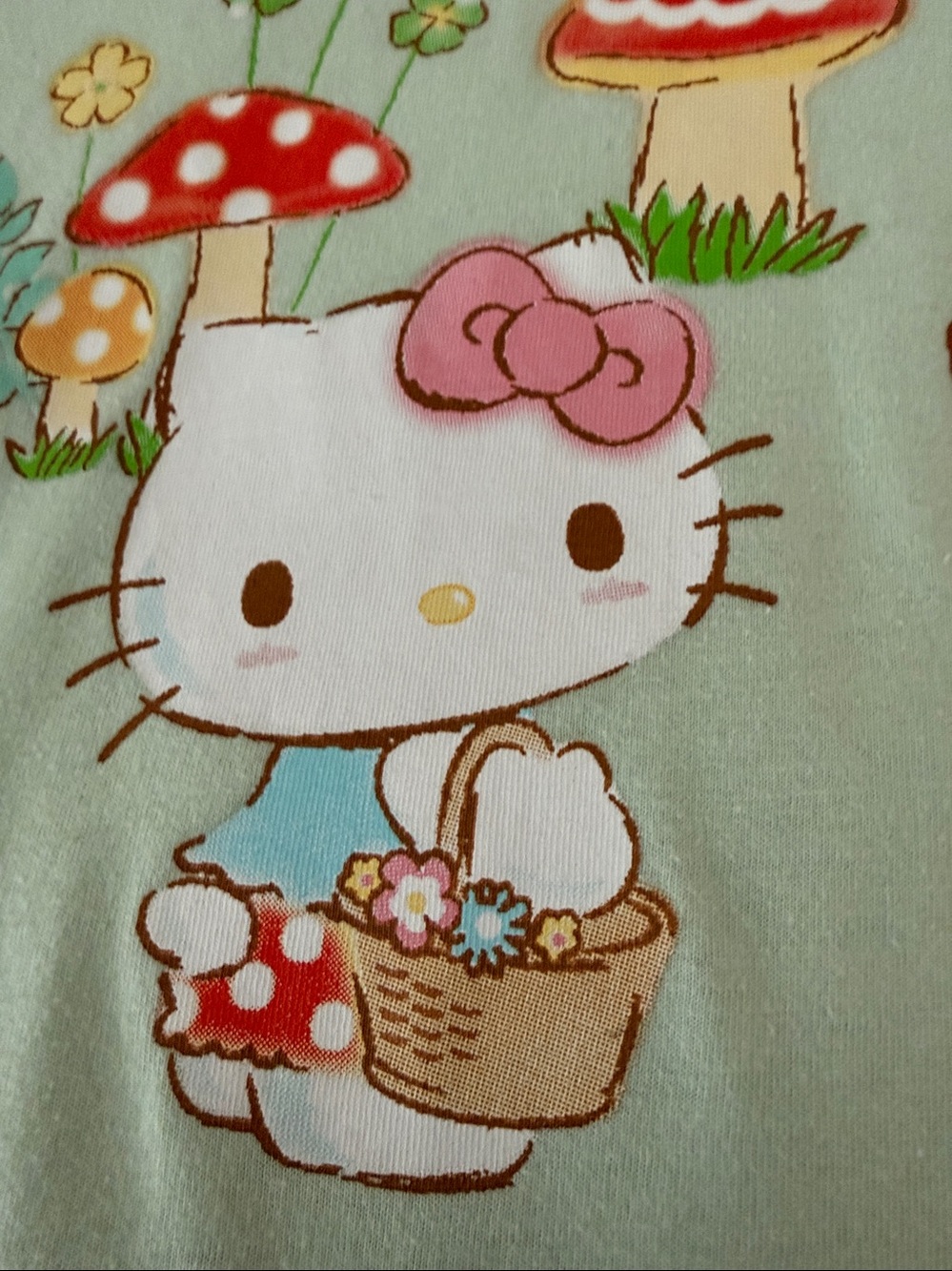 Sanrio Hello Kitty and Friends Mint Green Graphic Tee (XXL) - Picture 7 of 11
